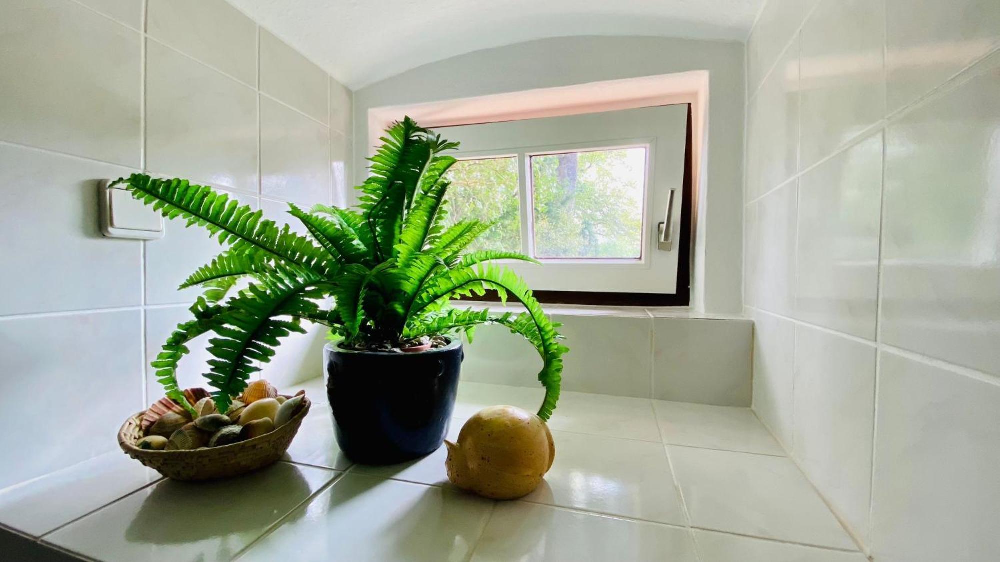 Ferienwohnung Villa Am Haussee Feldberger Seenlandschaft Exteriör bild