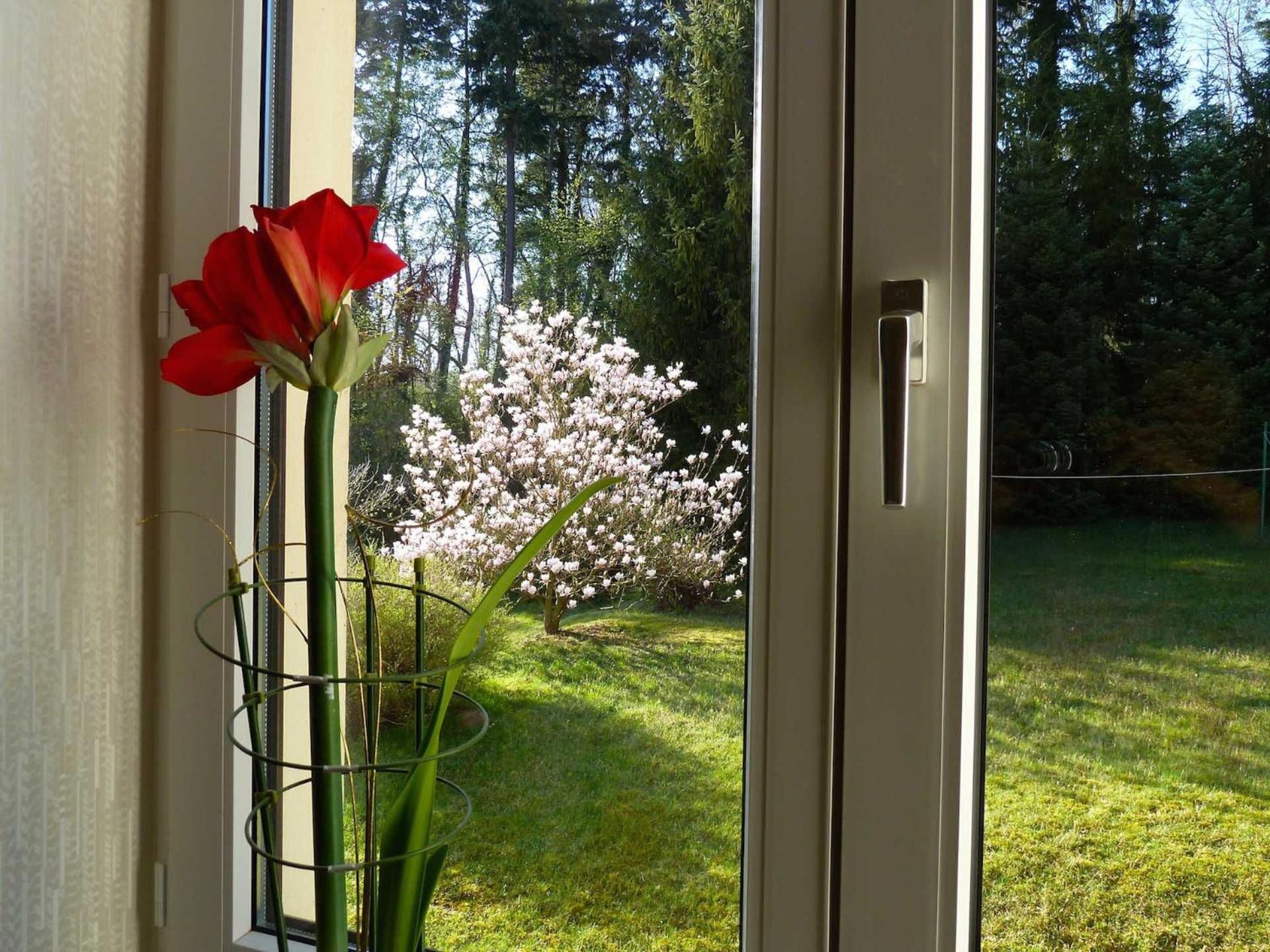 Ferienwohnung Villa Am Haussee Feldberger Seenlandschaft Exteriör bild